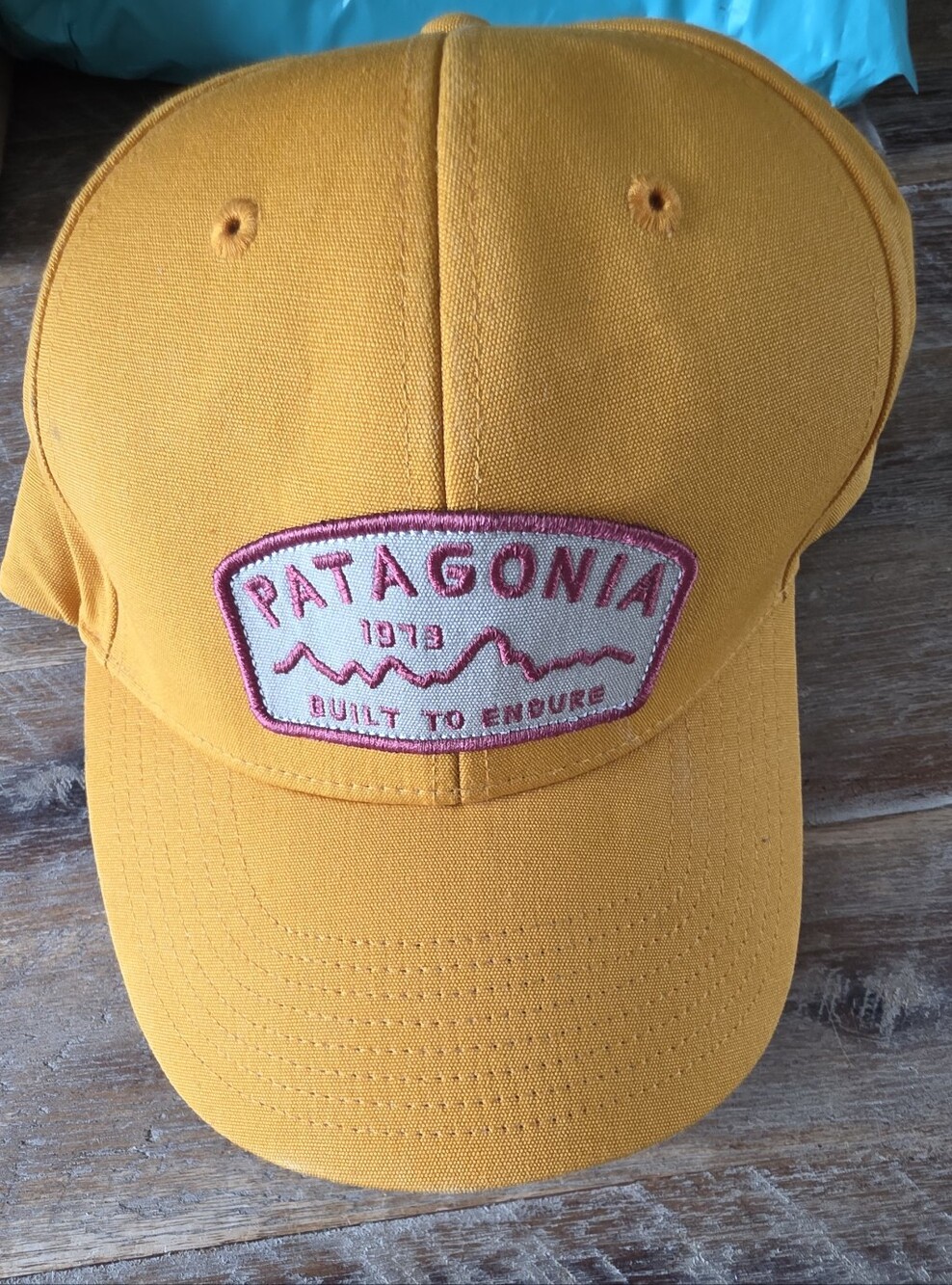 Patagonia Hat Snap Back